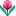 🌷